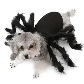 Halloween Pet Spider Clothes  Simulation Black Spider Puppy Cosplay Costume For Dogs Cats Party Cosplay Funny Outfit