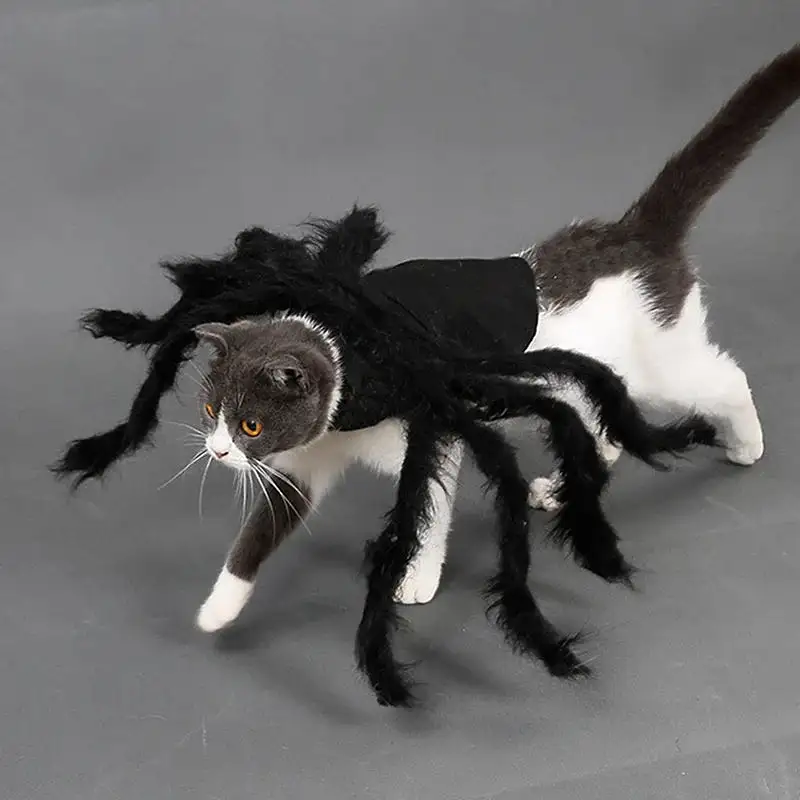 Halloween Pet Spider Clothes  Simulation Black Spider Puppy Cosplay Costume For Dogs Cats Party Cosplay Funny Outfit